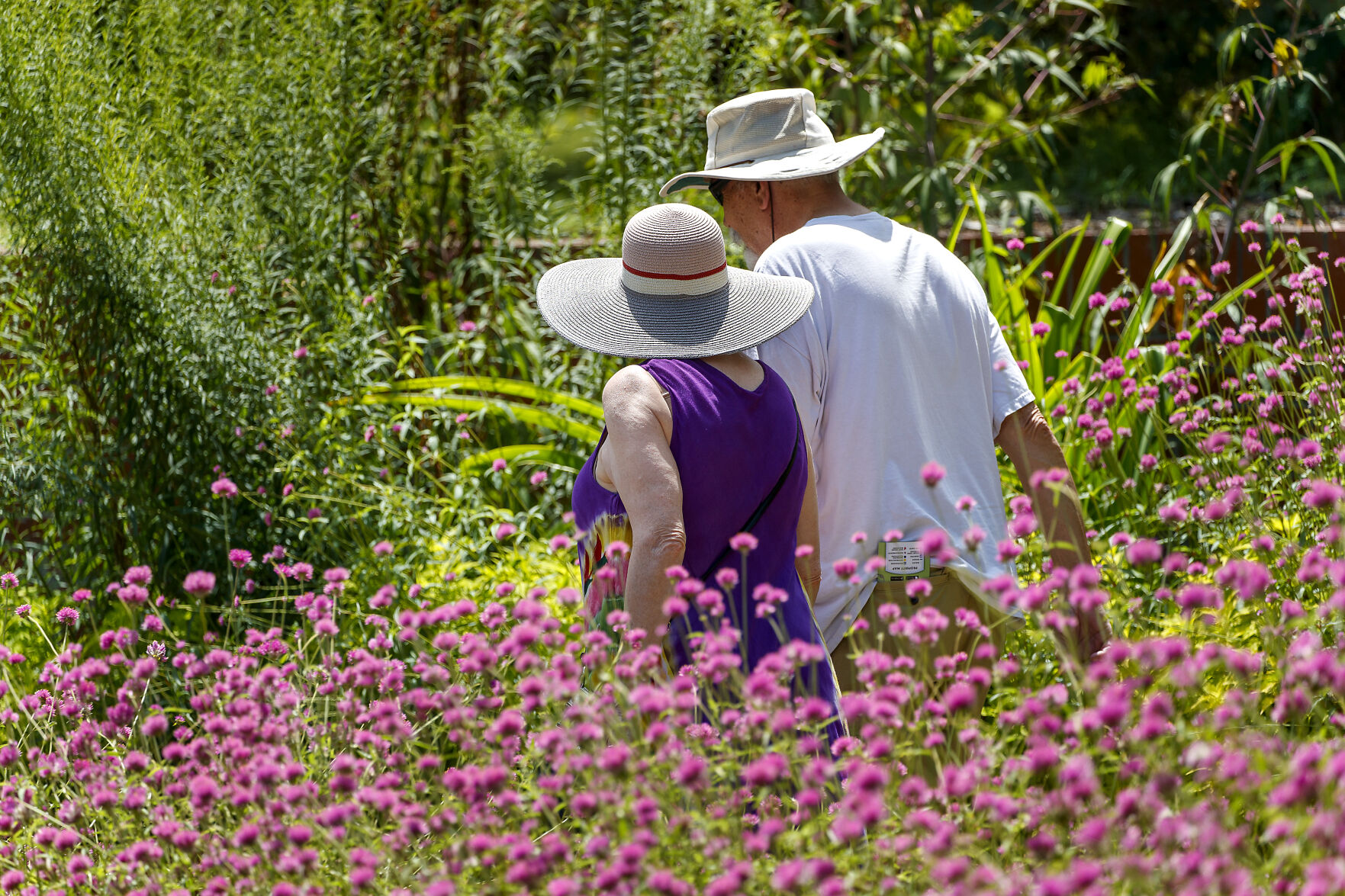 Garden walk 2.jpg